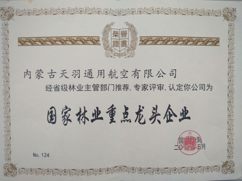 重點龍頭企業